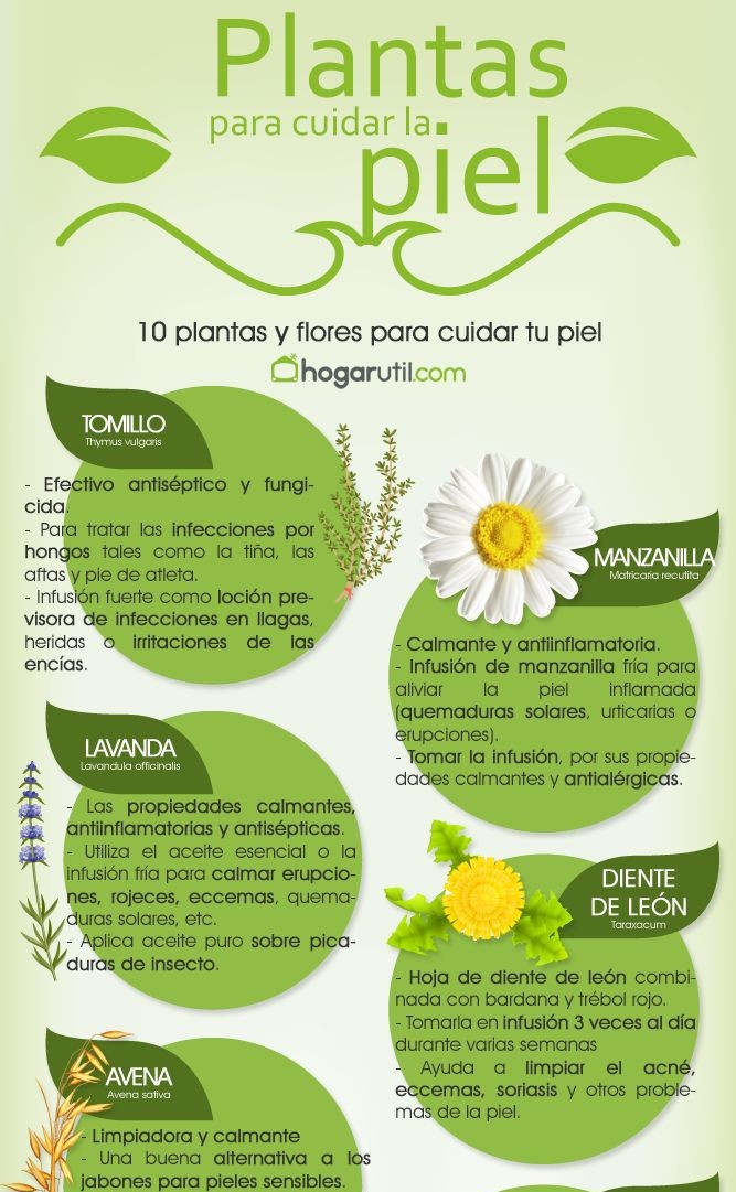 1o Plantas Y Flores Para Cuidar La Piel De Forma Natural