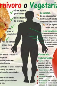 ¿carnivoro o vegetariano?