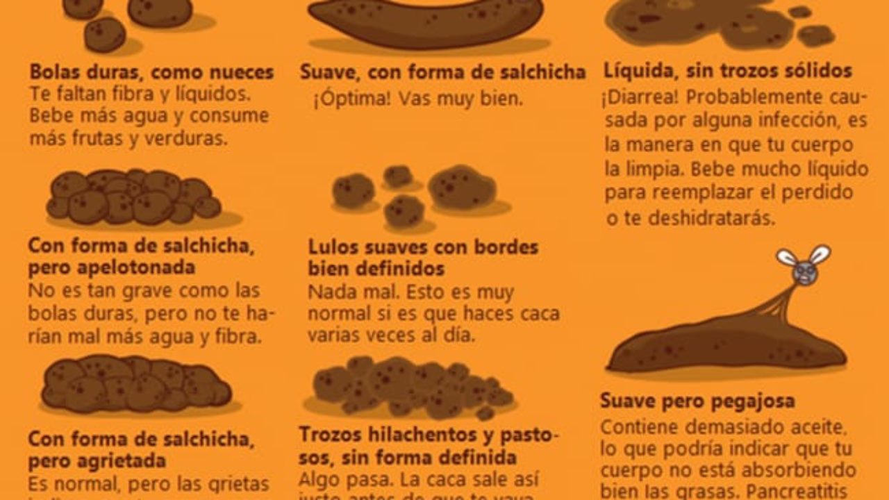 Heces Amarillas Causas Tratamientos Y Prevencion Infografias Y Remedios